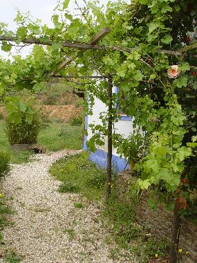 Ferienhaus in Odemira (Alentejo Litoral) oder Ferienwohnung oder Ferienhaus