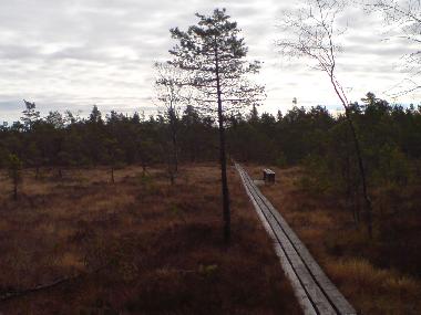 Ferienhaus in Elsabo (Smaland) oder Ferienwohnung oder Ferienhaus