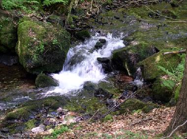Die Vesser unweit der Vesserquelle