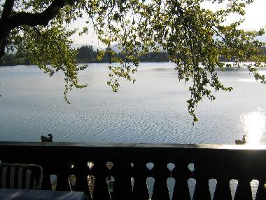 Balkon (begehbar vom Wohnzimmer)