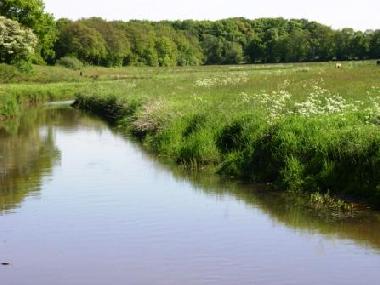Ferienhaus in Schipborg (Drenthe) oder Ferienwohnung oder Ferienhaus
