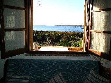 Blick aus dem Wohnraum