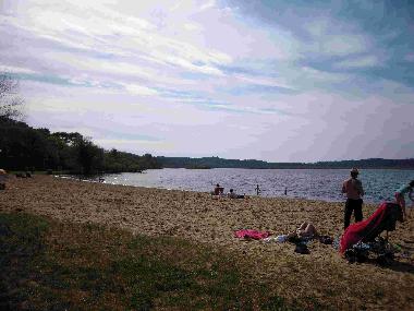 Ferienhaus in Saint Barth�lemy (Landes) oder Ferienwohnung oder Ferienhaus