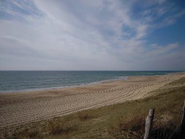 Ferienhaus in Saint Barth�lemy (Landes) oder Ferienwohnung oder Ferienhaus