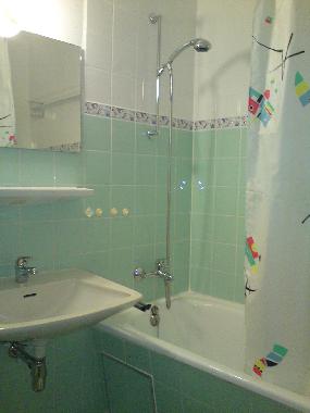 Gepflegtes Badezimmer mit Duschwanne