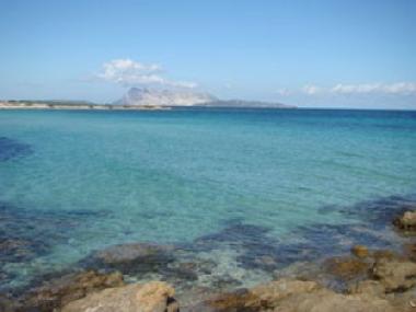 Ferienhaus in Tanaunella-budoni (Olbia-Tempio) oder Ferienwohnung oder Ferienhaus