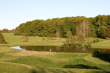 Ganz in der Nhe kann man Golf spielen