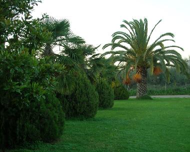 Ferienwohnung in Zacharo (Ileia) oder Ferienwohnung oder Ferienhaus