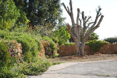 Ferienhaus in Moncarapacho (Algarve) oder Ferienwohnung oder Ferienhaus