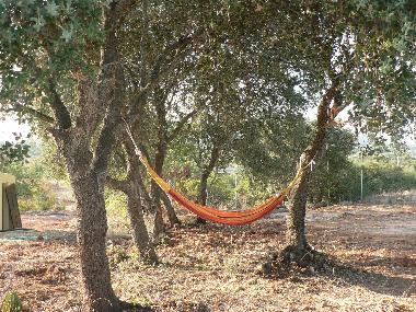 Ferienhaus in Moncarapacho (Algarve) oder Ferienwohnung oder Ferienhaus