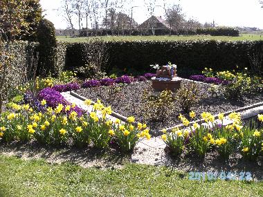 Garten (Teil) im Frhling