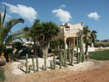 Ferienhaus in Colonia de Sant Jordi (Mallorca) oder Ferienwohnung oder Ferienhaus