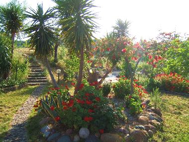 Ferienhaus in Hanioti (Chalkidiki) oder Ferienwohnung oder Ferienhaus