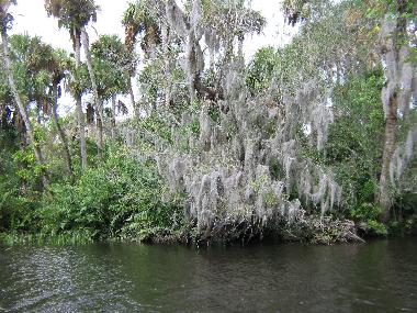 Ferienhaus in Fort Pierce FL (Florida) oder Ferienwohnung oder Ferienhaus
