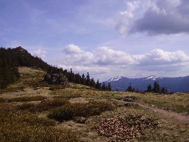 Blick zum Hohenbogen