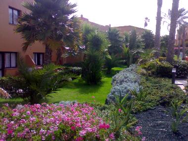 Ferienwohnung in Corralejo (Fuerteventura) oder Ferienwohnung oder Ferienhaus