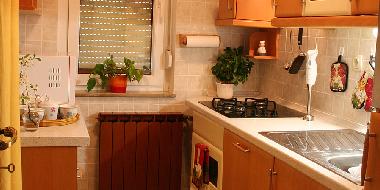 Ferienwohnung in Bovec (Bovec) oder Ferienwohnung oder Ferienhaus