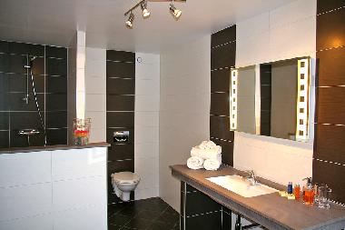 Pension in BEBLENHEIM (Haut-Rhin) oder Ferienwohnung oder Ferienhaus