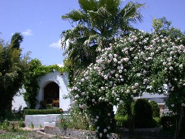 Pension in Monsaraz (Alto Alentejo) oder Ferienwohnung oder Ferienhaus