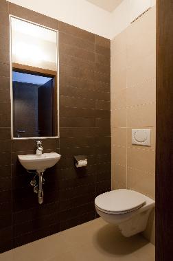 Ferienwohnung in Lachtal (Westliche Obersteiermark) oder Ferienwohnung oder Ferienhaus