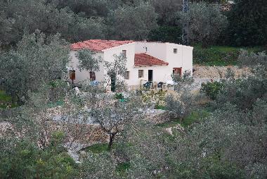 Main house and Finca  