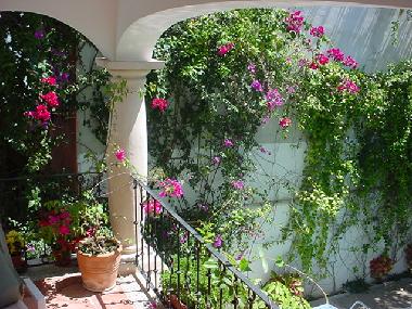 Ferienwohnung in PLAYA DEL CARMEN (Quintana Roo) oder Ferienwohnung oder Ferienhaus