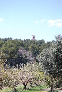 Ferienhaus in Le Barroux (Vaucluse) oder Ferienwohnung oder Ferienhaus