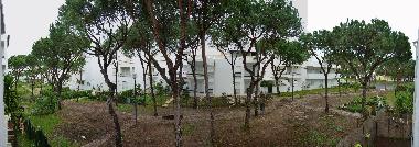 Ferienwohnung in Albufeira / Vila Moura (Algarve) oder Ferienwohnung oder Ferienhaus