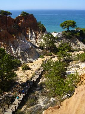 Ferienwohnung in Albufeira / Vila Moura (Algarve) oder Ferienwohnung oder Ferienhaus
