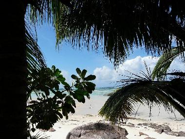Ferienhaus in Au cap Mahe seychelles (Anse Royale) oder Ferienwohnung oder Ferienhaus