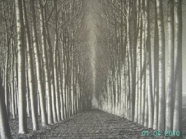 Chalet in El Puerto de Santa Mar�a (C�diz) oder Ferienwohnung oder Ferienhaus