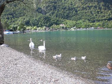 Chalet in Porlezza (Como) oder Ferienwohnung oder Ferienhaus