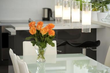 Ferienwohnung in Salzburg (Salzburg und Umgebung) oder Ferienwohnung oder Ferienhaus