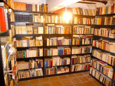 Bibliothek mit allem, was man so gelesen haben sollte