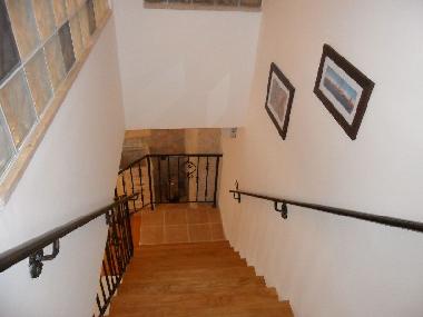 Ferienhaus in FaZANA (Istarska) oder Ferienwohnung oder Ferienhaus