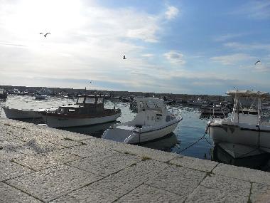 Ferienhaus in FaZANA (Istarska) oder Ferienwohnung oder Ferienhaus