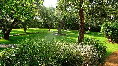 Ferienhaus in Capalbio (Grosseto) oder Ferienwohnung oder Ferienhaus