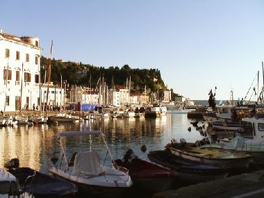 Piran marina (boat)