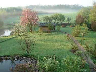 Blick in den Garten