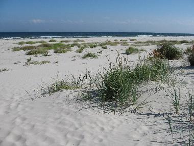 Ferienhaus in Simrishamn (Skne) oder Ferienwohnung oder Ferienhaus
