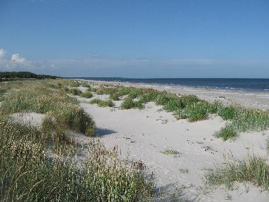 Ferienhaus in Simrishamn (Skne) oder Ferienwohnung oder Ferienhaus