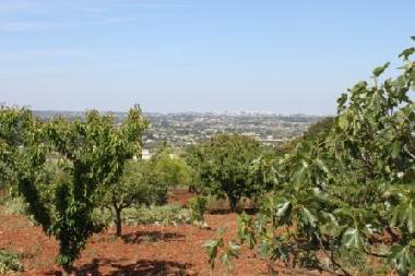 Ferienwohnung in martina franca (Taranto) oder Ferienwohnung oder Ferienhaus