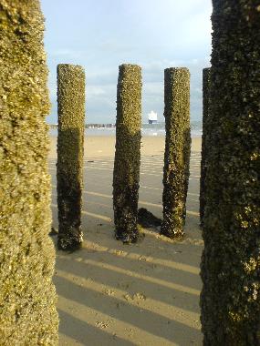 Ferienhaus in Dishoek/Koudekerke (Zeeland) oder Ferienwohnung oder Ferienhaus