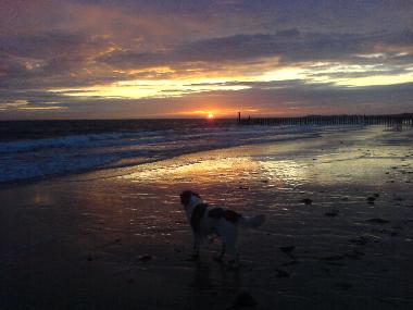 Ferienhaus in Dishoek/Koudekerke (Zeeland) oder Ferienwohnung oder Ferienhaus
