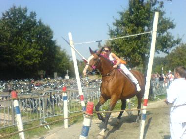 Ferienhaus in Dishoek/Koudekerke (Zeeland) oder Ferienwohnung oder Ferienhaus