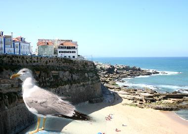 Ferienwohnung in Ericeira (Grande Lisboa) oder Ferienwohnung oder Ferienhaus