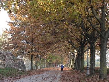 Ferienwohnung in Lucca (Lucca) oder Ferienwohnung oder Ferienhaus