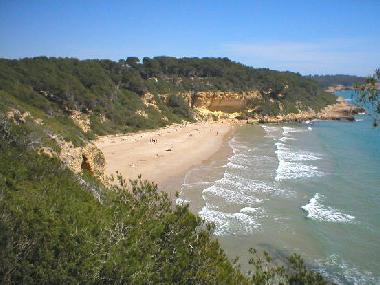 Waikiki Badebucht zu Fuss erreichbar