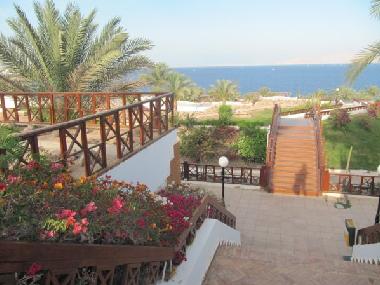 Chalet in Sharm El Sheikh (Shamal Sina