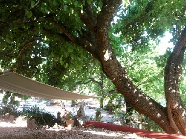 Ferienhaus in loule (Algarve) oder Ferienwohnung oder Ferienhaus